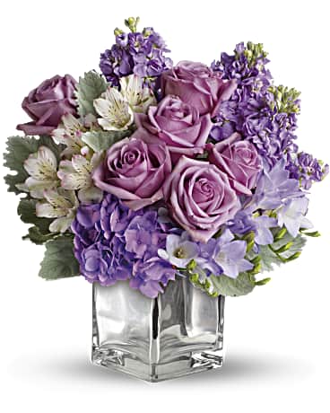 Sweet as Sugar by Teleflora