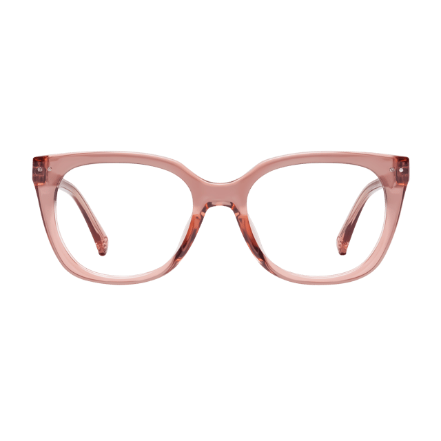 Evita Progressives