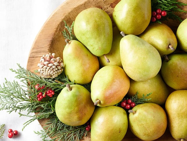 King Comice Pears