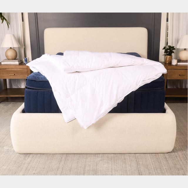 All Season Waterfowl Down Duvet Insert