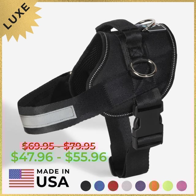 Joyride LUXE Dog Harness 1.0