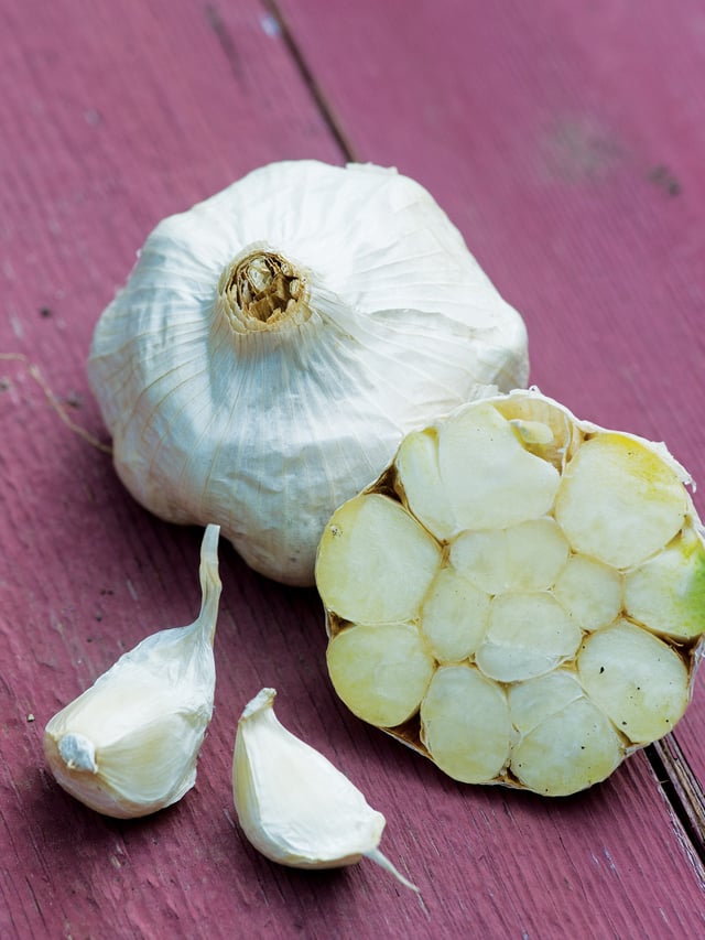Garlic, Italian Loiacono