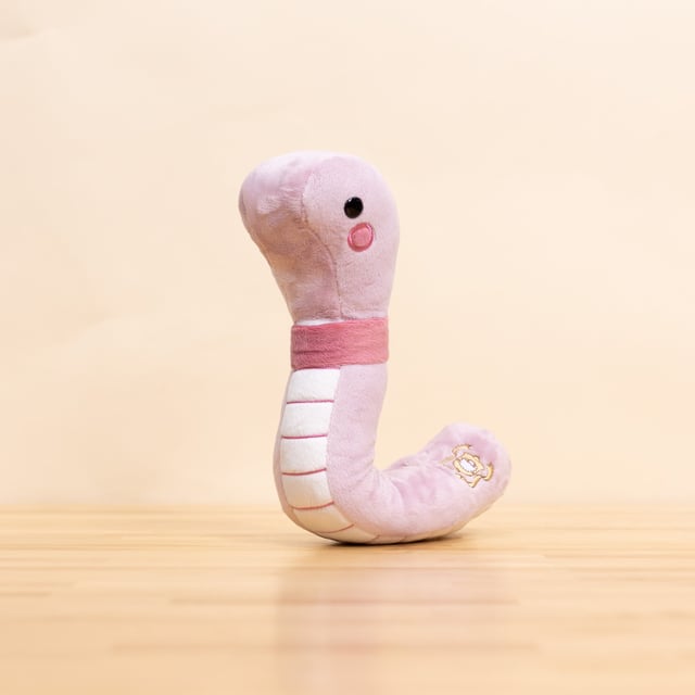 Wormi the Worm