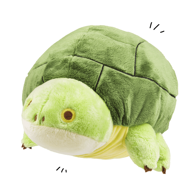 Noot the "Turtle"