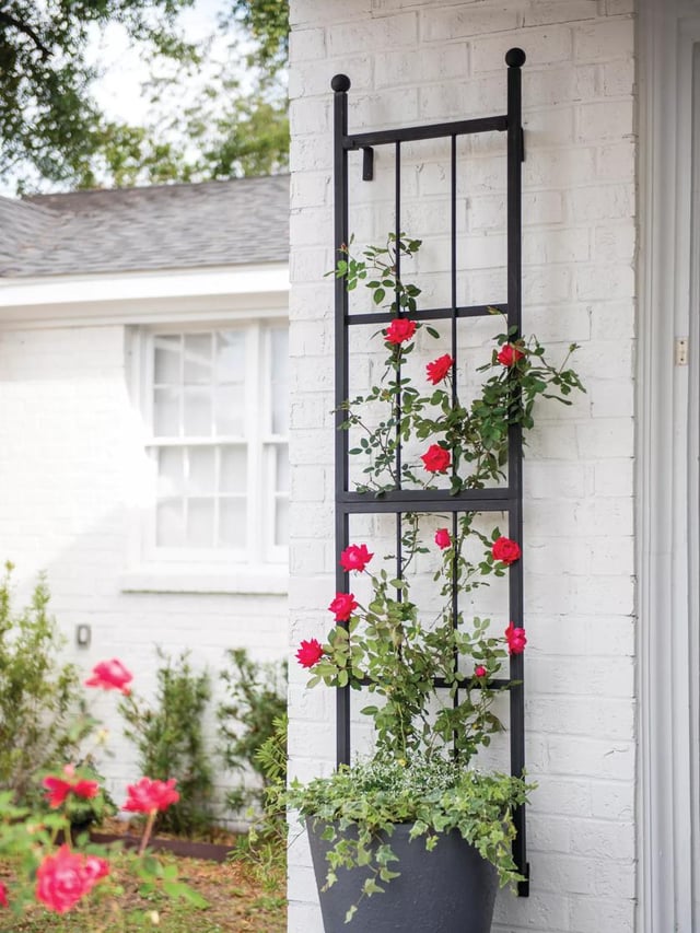 Essex Wall Trellis