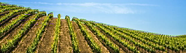 Find low-fare flights to Santa Rosa