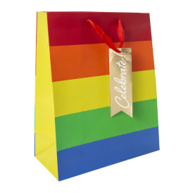 Large Printed Gift Bag 10in x 12in