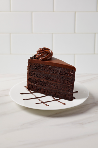 The Cheesecake Factory Bakery 10 Inch Fudge Cake, 106 ounce -- 2 per case