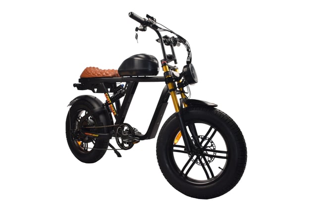 The Motor Goat V3
