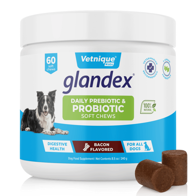 Glandex® Daily Prebiotic & Probiotic Soft Chews