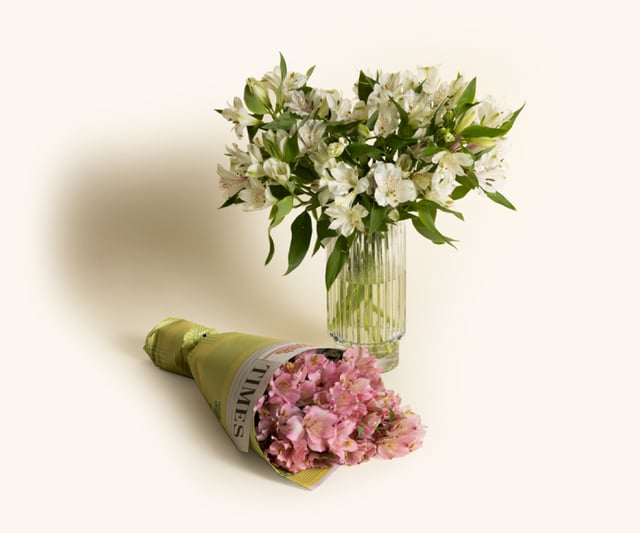 Alstroemeria
