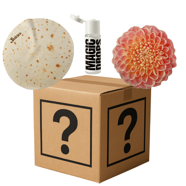Nerdle's EXCLUSIVE Bundle