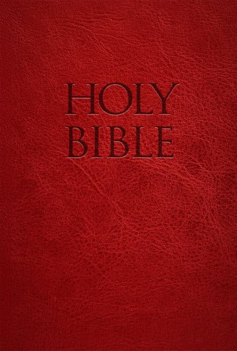 NABRE Holy Bible Red