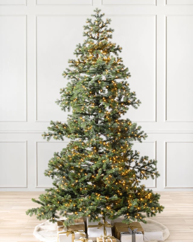 Yukon Spruce