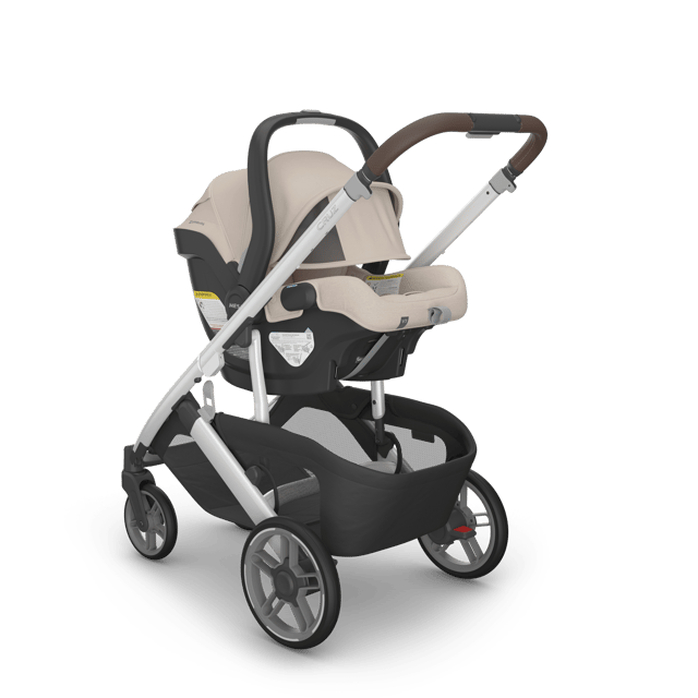 UPPAbaby Mesa V3 Infant Car Seat