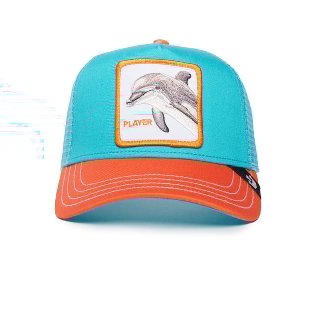 The Player Dolphin