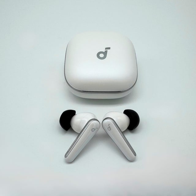 TrueGrip™ TW-180-B Memory Foam Ear Tips