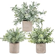 Der Rose 3 Pack Mini Potted Fake Plants Artificial Plastic Eucalyptus Plants Topiaries for Home Office Desk Farmhouse Room Decor
