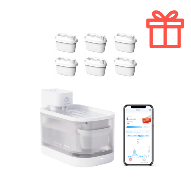 PAWAii Wireless Pet Water Fountain Pro