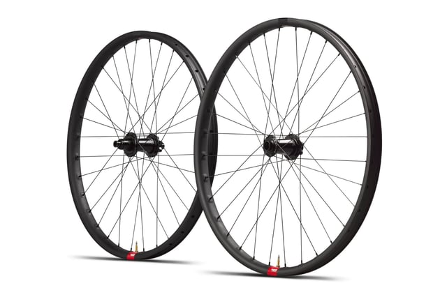 31 DH Wheelset (Microspline)