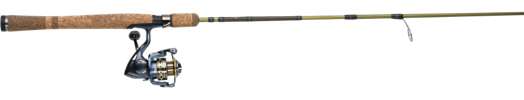 Pflueger PRESSP30-EA66MCBO President/Fenwick Eagle Spinning Combo
