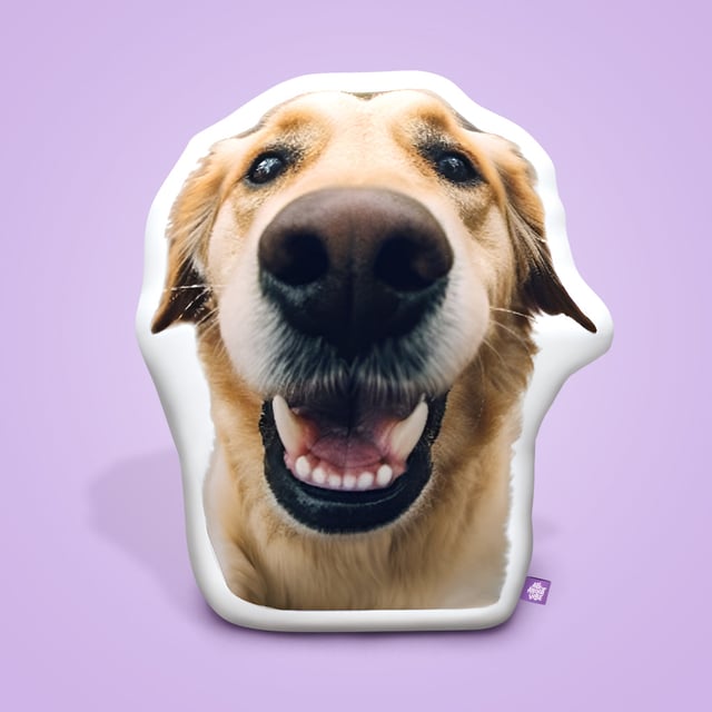 16" Small Custom Shaped Pillow Promo