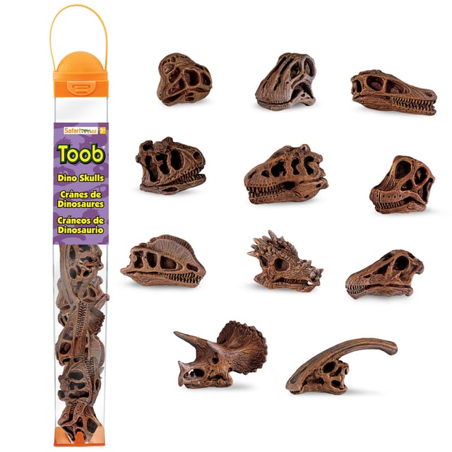 Dinosaur Skulls TOOB® Toy