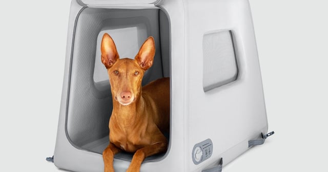 Enventur Travel Kennel