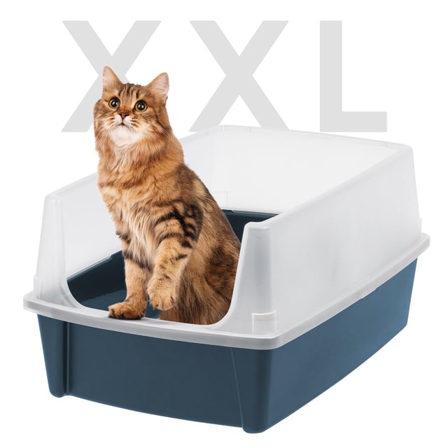 XXL Cat Litter Box with Litter Scoop