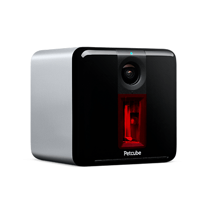 Petcube Play