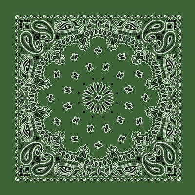1 piece, CM Western Paisley Bandanas in Bulk Imported 100% cotton, Hunter Green, 22" x 22" 