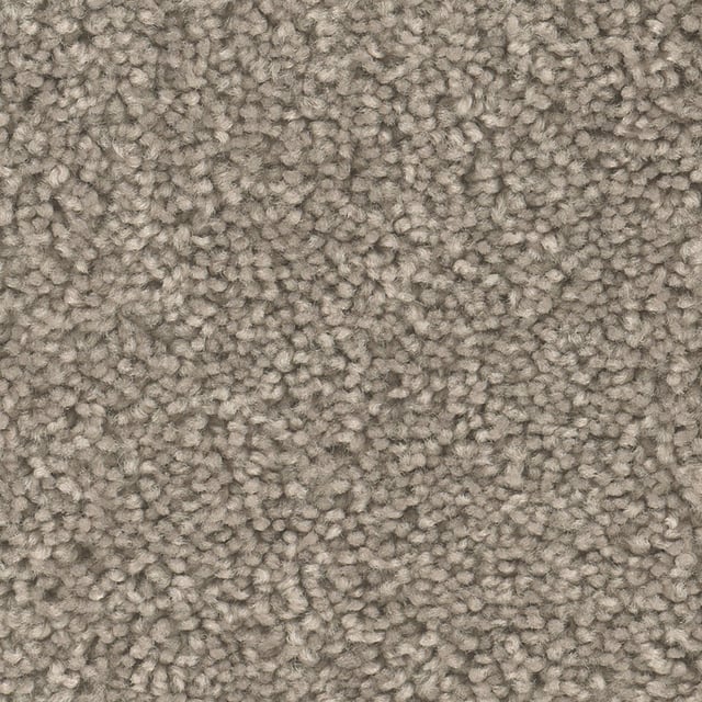 Style Selections Reclaim RR Heirloom Gray 25-oz sq yard Polyester Textured Indoor Carpet