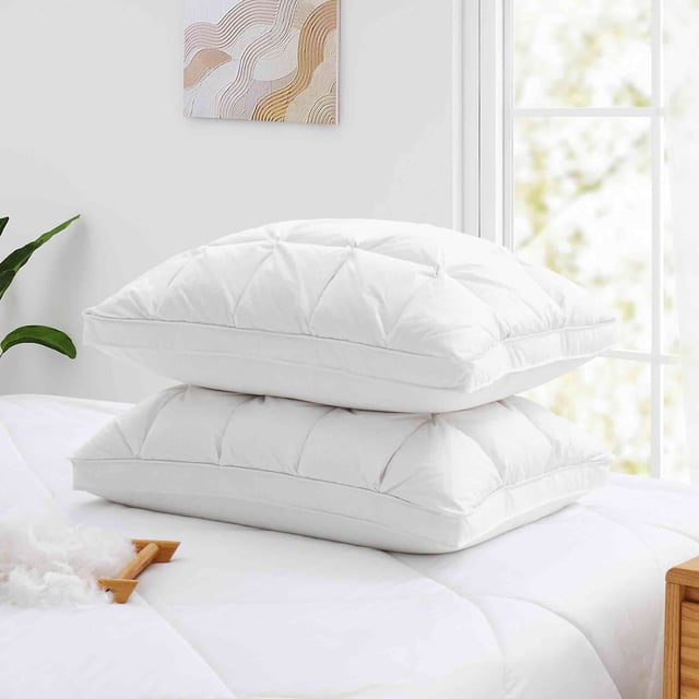 2 Pack Luxury Puffy Down Pillows