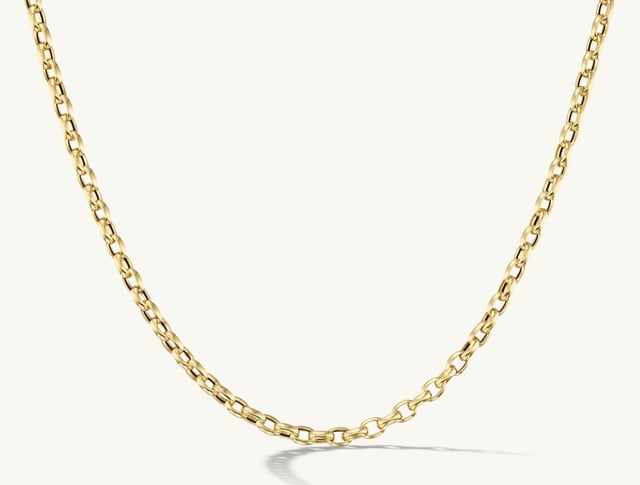 Chunky Rolo Chain Necklace