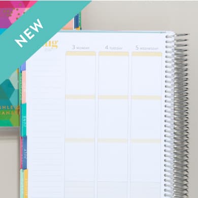Large Wisteria Clear Planner Folio