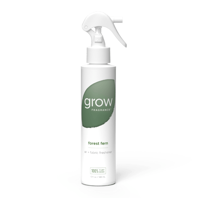 Forest Fern Air + Fabric Spray