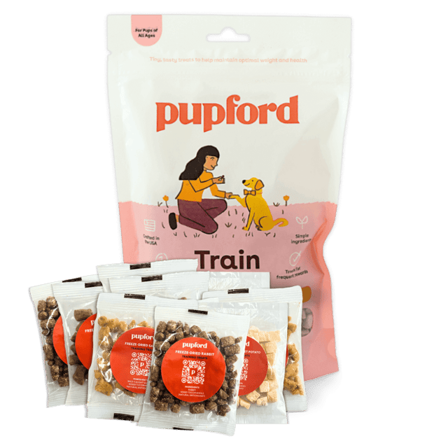 Training Treat 10 Snack - Perfect for Halloween