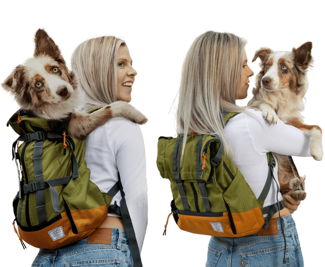 Urban 3 | Dual Use Dog Carrier & Traditional Backpack