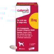Galliprant Osteoarthritis Treatment Chewable Tablets for Dogs