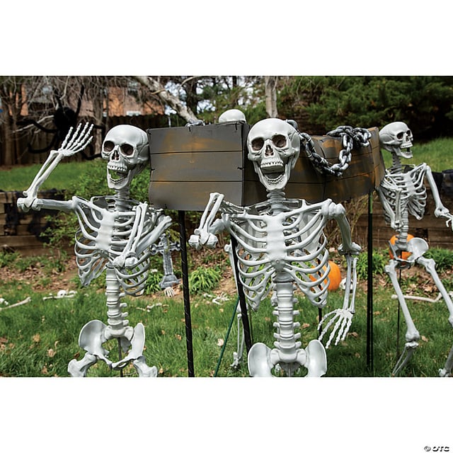5 Ft. Life Size Posable Skeleton Halloween Decoration