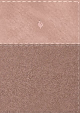 RVR 1960 Biblia de estudio de la vida plena, Edicion clasica, Oro rosa (Full Life Study Bible, Classic Edition, Rose Gold, Comfort Print)