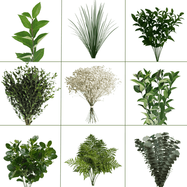 Beautiful Mixed Greens Fresh Flowers For Arrangements
