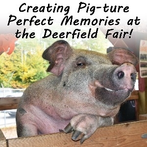 Deerfield Fair 2025