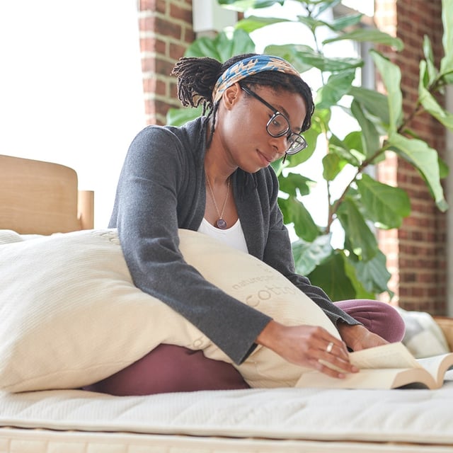 Organic Solid Latex Pillow