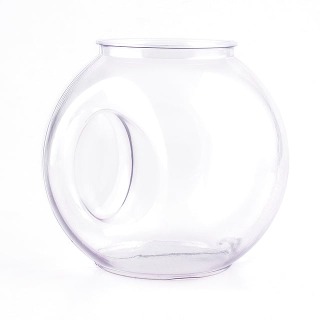Plastic Fishbowl With Handle - 40 ounce