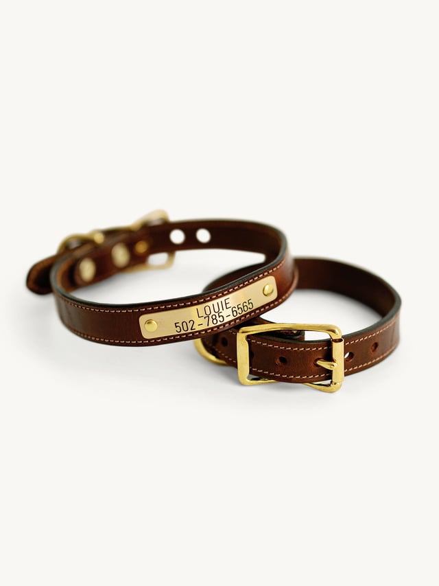 Nameplate Dog Collar