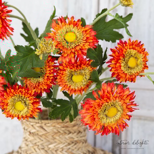 27” Orange Gerber Daisy Spray