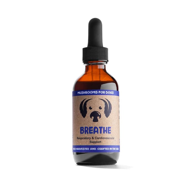 Breathe by MycoDog