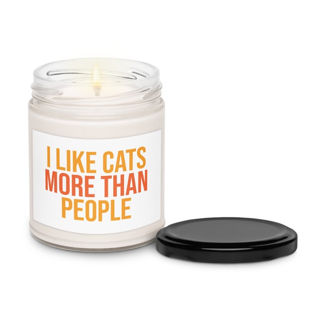 I Like Cats More Than People Scented Soy Candle