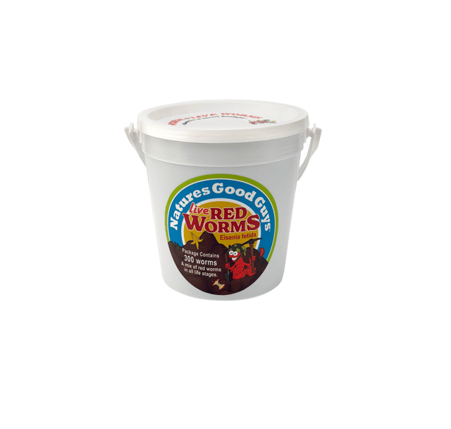 Red "Wiggler" Worms